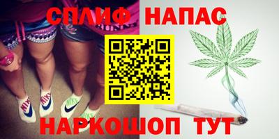 мдпв Гудермес