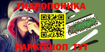 индика Гуково