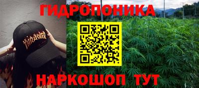 индика Гуково