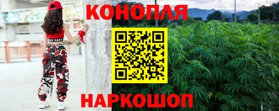 индика Гуково