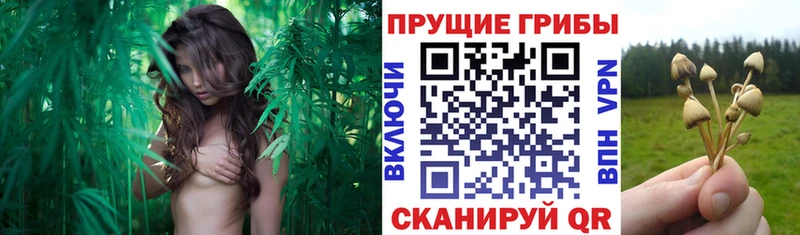 гидра сайт  Верхняя Салда  Псилоцибиновые грибы MAGIC MUSHROOMS 