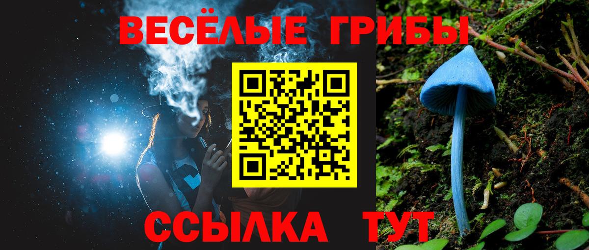 Галлюциногенные грибы Psilocybe Верхняя Салда